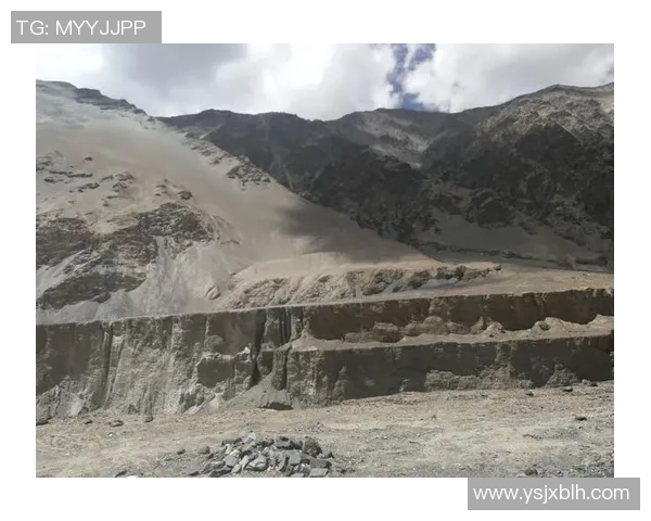 深度探讨王秀英在CSGO中的成长与挑战之路